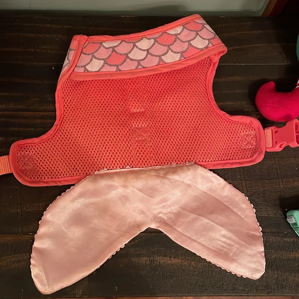 Small dog fish collar, The Dodo collar and hedgehog holiday toy.